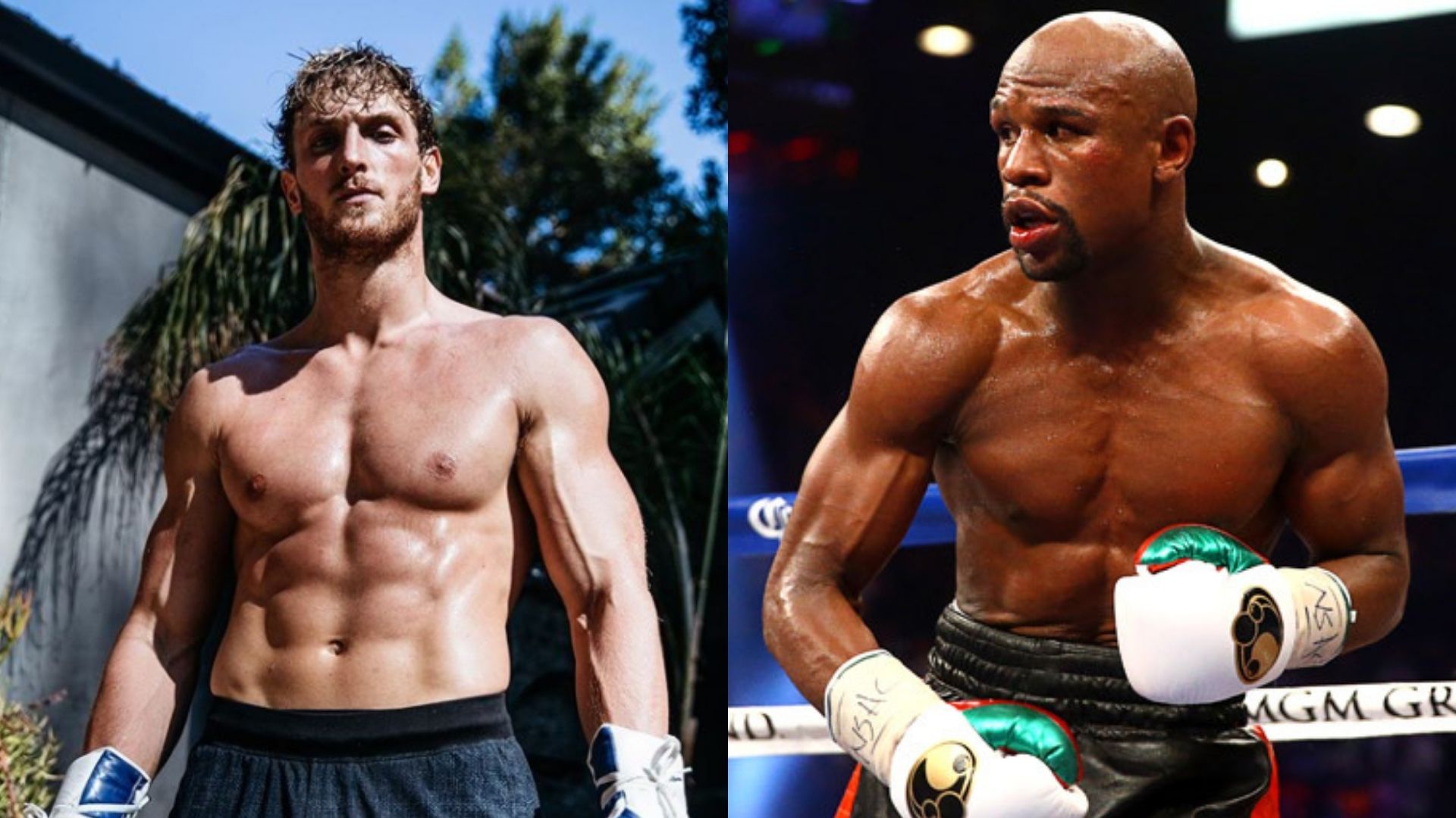 Boxing Between Floyd Mayweather And Logan Paul Postponed Ryan Babel